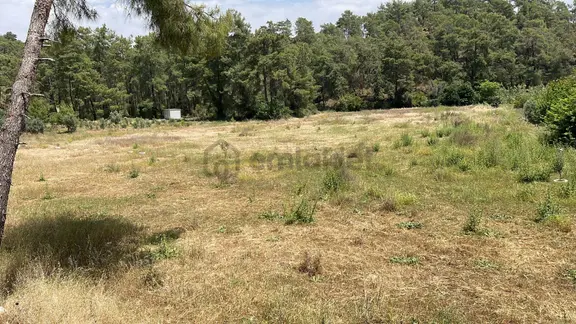 Goldhouse Dan Satılık Fethiye Yanıklarda 325 M2 Arsa