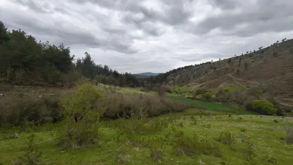 Durağanda Bedavaya Arazi (1178 M2) Segup Farkıyla (25) 2