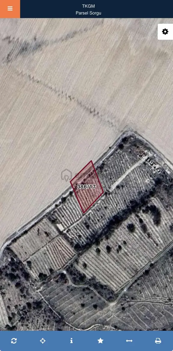 Niğde Bor Bahçelide Yola Cepheli Bağ | Yatırımlık Fırsat 1