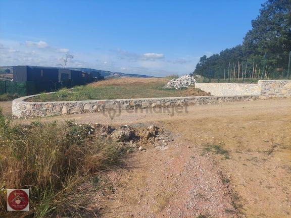 Ambarcıda 5411m2 Mükemmel Arazi 1