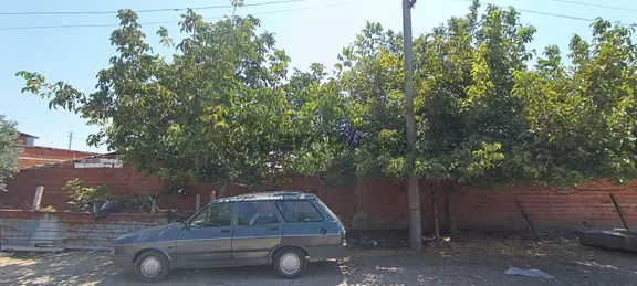 Manisa Şehzadeler Aşağı Çobanisa'da Satılık Arsa 1
