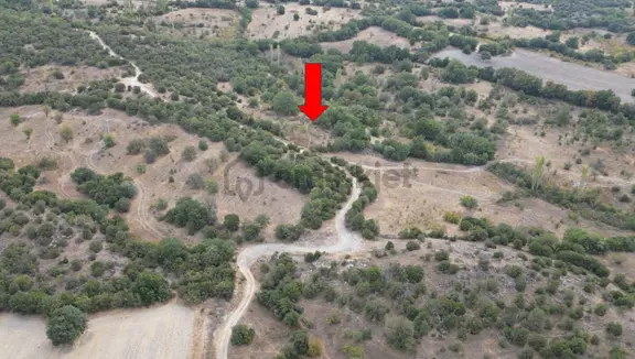 Baraja Yakın Yol Üzerinde Ulaşım Sorunu Olmayan Yatırımlık Arazi 1