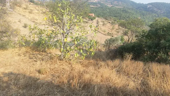 Kocaseyitte Kaçmaz Fırsat!asfalta Yakın 386 M² Yatırımlık Bahçe 2
