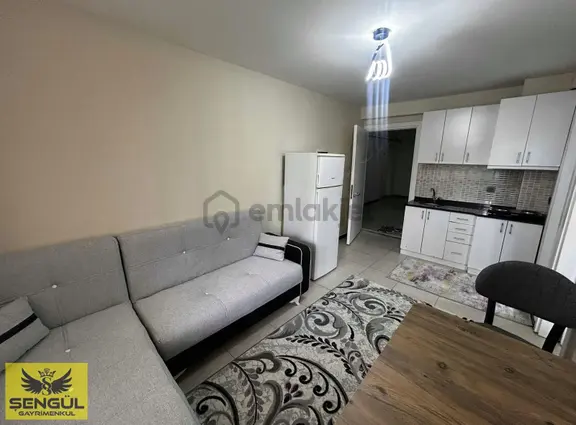 Zeytinköy Mahallesi Kiralık 1+1 Üniversite Yakını Apart 2