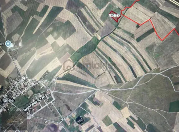Tekirdağ Ergene İğneler Satılık Tarla 11 Dönüm 2