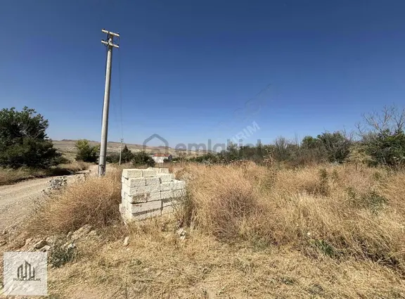 Avanos Köybağı'nda 1563m² Yola Sıfır Satılık Bağ 2