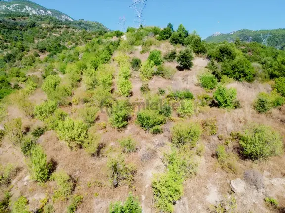 Emlakparktan Mahmutseydi Ucırmakta Devren Kiralık 104dönum Arazi 2