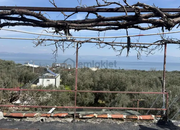 Göl Manzaralı Hayalinizdeki Müstakil Yaşam 2 Katlı Ev 1
