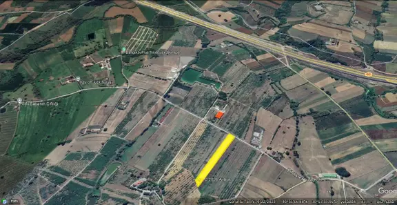 İzmit Akmeşe At Çiftliği Bölgesinde Çiftliğe Uygun 10.5 M2 Tarla 1