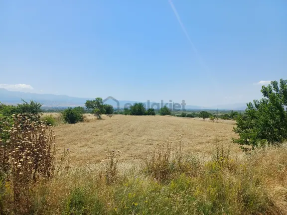 Şehzade Gayrimenkul 2