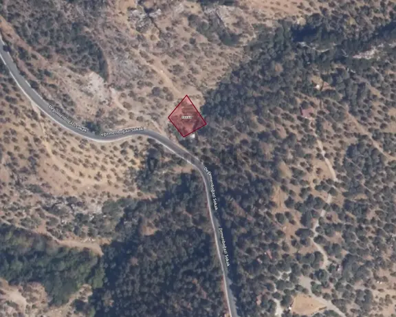 Şirincede Yola Cepheli 590 M² Satılık Zeytinlik 1