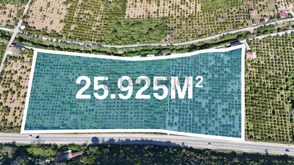 İzmir Ahmetbeyli'de Ana Yola Cepheli Fırsat Tarla Satılık 2