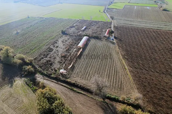 Pasifik'ten Sadıkpaşa' Da 10600 M² Suyu Elektriği Olan Arazi 1