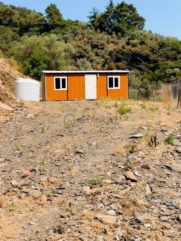 İzmir Bayındırda Tek Tapu Zeytinlik 1
