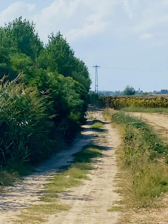Edirne Merkez Bosna Köyünde Satılık 1.318 M² Tarla 2