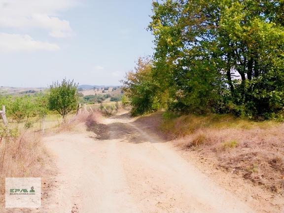 Epa Emre Koç'tan Kandıra Sepetçi Köyü Çevrili 448 M2 Tek Tapu 2