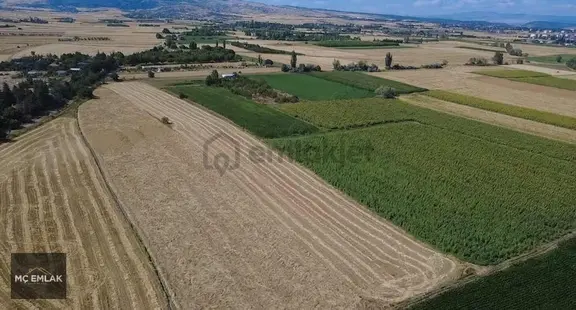 Mç Emlak'tan Yüksek Prim Potansiyelli Ana Yola Yakın Tarla 2