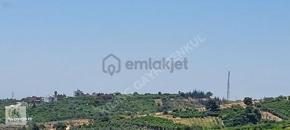 Kılnç Gayrimenkulden Tecede Şehir Manzaralı Bahçe 1