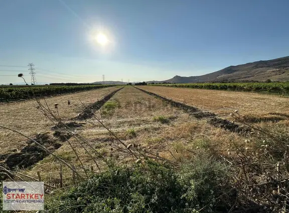 Menemen Yanıkköyde Satılık 8.389 M² Tarlanın 1/2 Hissesi 2