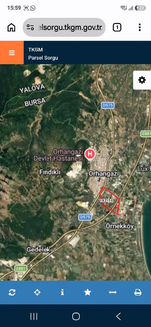 Satılık Atsa Bursa 1