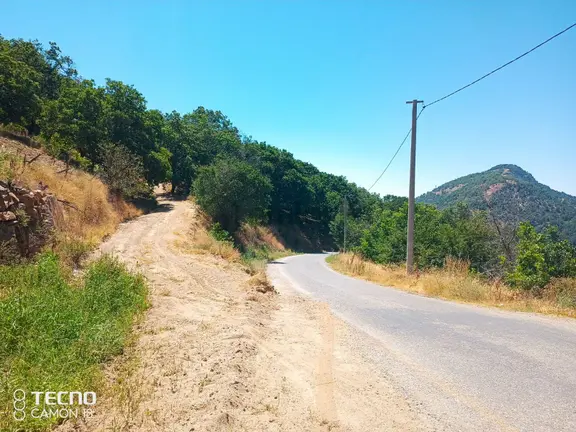 Aydın Satılık Kestane Bahçesi Ana Asfalt Yola Sıfır 2