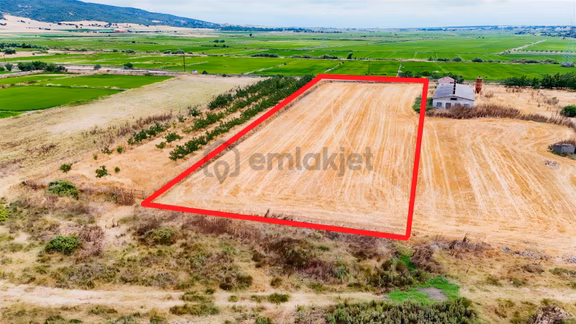 Çalıoba'da 6.251 M² 715 Dönüm Meraya Komşuçiftlik Ve Hayvancılık 2