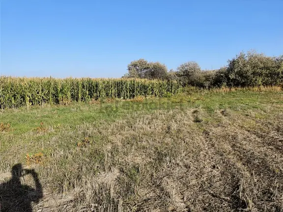 Acil! Kahramankazan Emirgazi Müstakil Tapulu Satılık Tarla 1