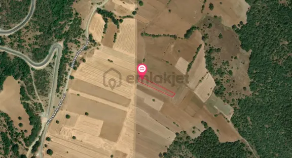 Bilecik Pazaryerinde Yolu Olan Satılık Tarla 2