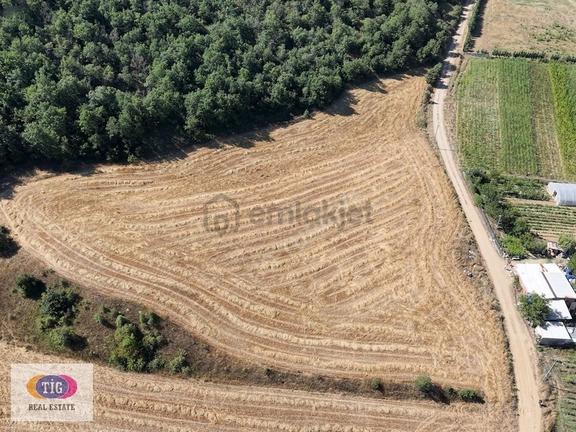 Bursa Yenişehir Burcun'da 10.364m²| 143 Metre Yola Cephe Satılık 2
