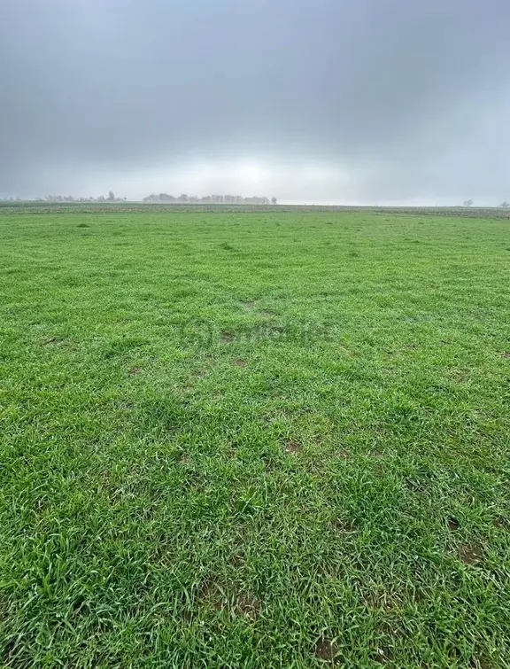 Edirne Uzunköprü Maksutlu 573 M2 İmarlı Arsa 1