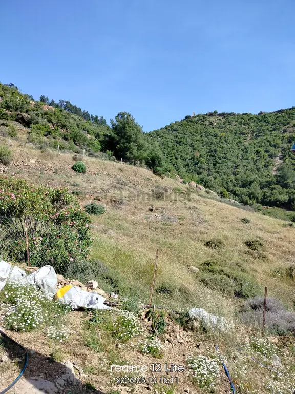 Müstakil Tapulu Tarla 1