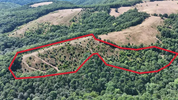 Tahtalıda 24.602 M² Orman Cepheli Doğa İçinde Yatırım Fırsatı 2