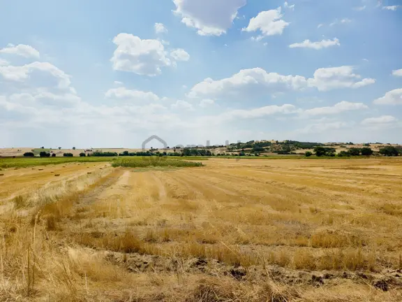 Tekirdağ Malkara Kozyörük Mah. Satılık Tarla 1