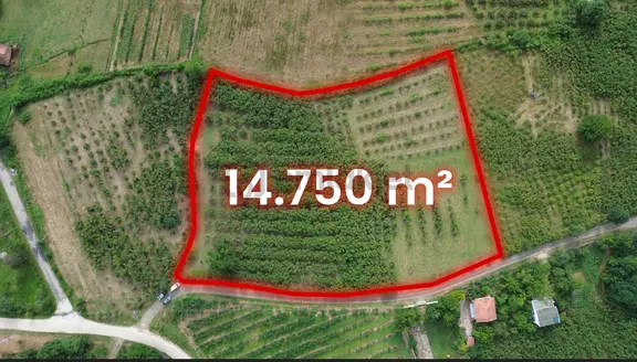 Görgülü Emlaktan Biçmede 14.750m² Satılık Fındık Bahçesi 2