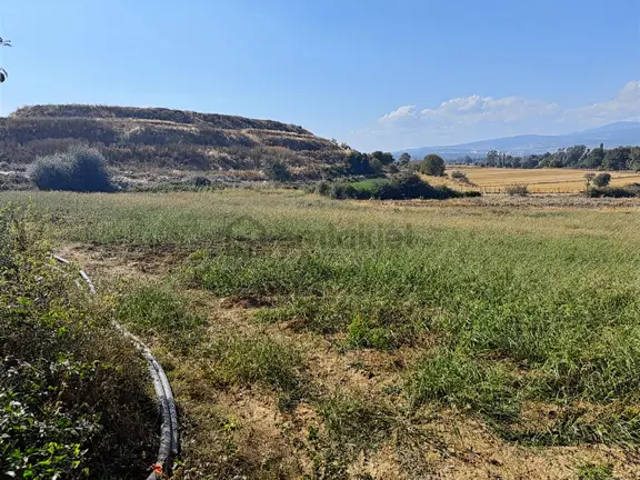 Yepa'dan Bolu Sultan Köyünde Satılık Sulu Tarım Arazisi 9.800m² 2