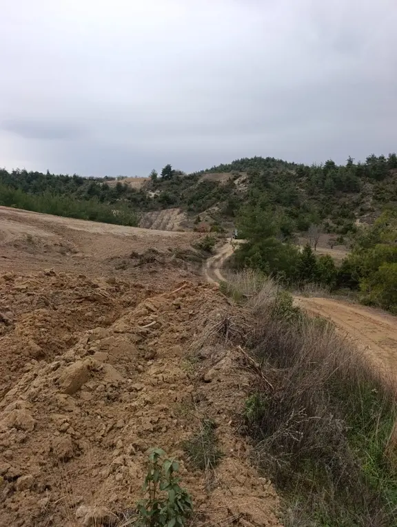 Bilecik Söğüt Küre Bağevine Uygun Kadastro Yolu 8dönüm Tarla 1