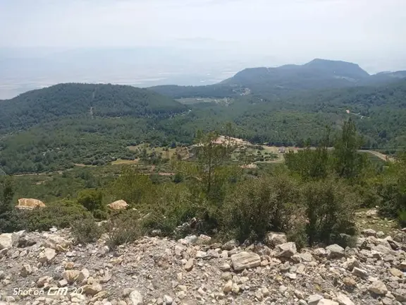 Söke Sazlı'da Satılık 55.725 M² Tarla - Yatırım Fırsatı 2