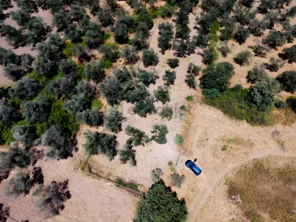 Güçlü Kardeşler Havranda 1815m2 Telle Çevrili Zeytinlik 2
