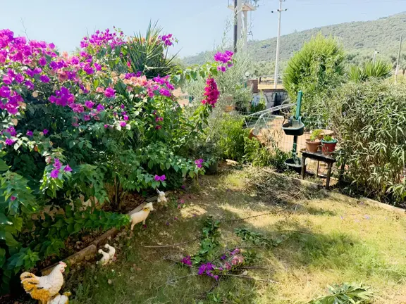 Didim Akbük De Bahçe Kat 1+1 Daire 2