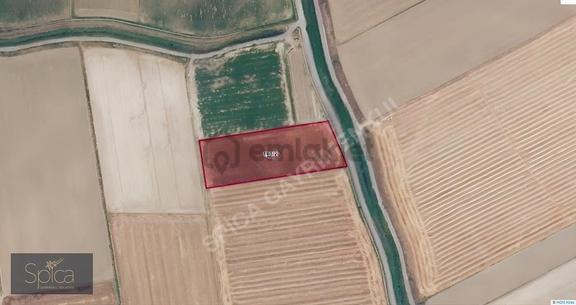 Menemen Tuzçullu 8.314 Dönüm Satılık Tarla 2