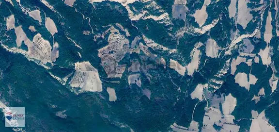 Bilecik Yenipazar Aşağıboğazda 6.058 M² Satılık Tarla 1