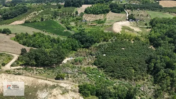 Kurtdere | Hazır Alt Yapılı | Yolu Olan Verimli Fındık Bahçesi 1