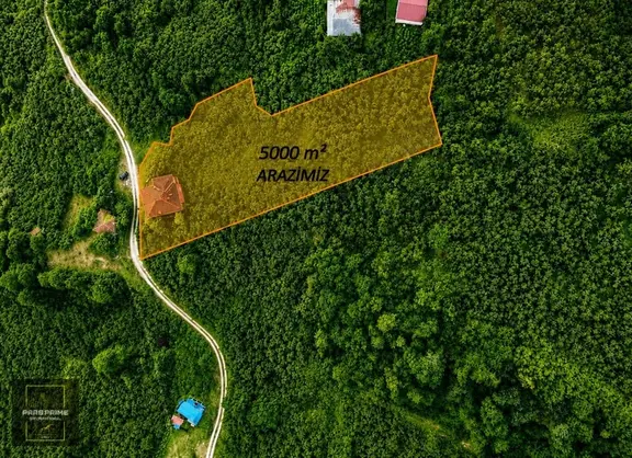 Pars Prme I Yola Cepheli 5.000m² Fındık Bahçesi 2 Katlı Müstakil 2