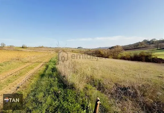 Kocaeli Kandıra Sepetçi Satılık Arazi 1