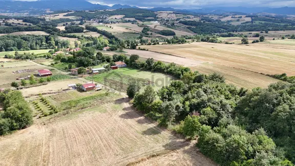 Bafra Lengerli Mahallesi'nde Satılık 30.501 M² Tarla 2