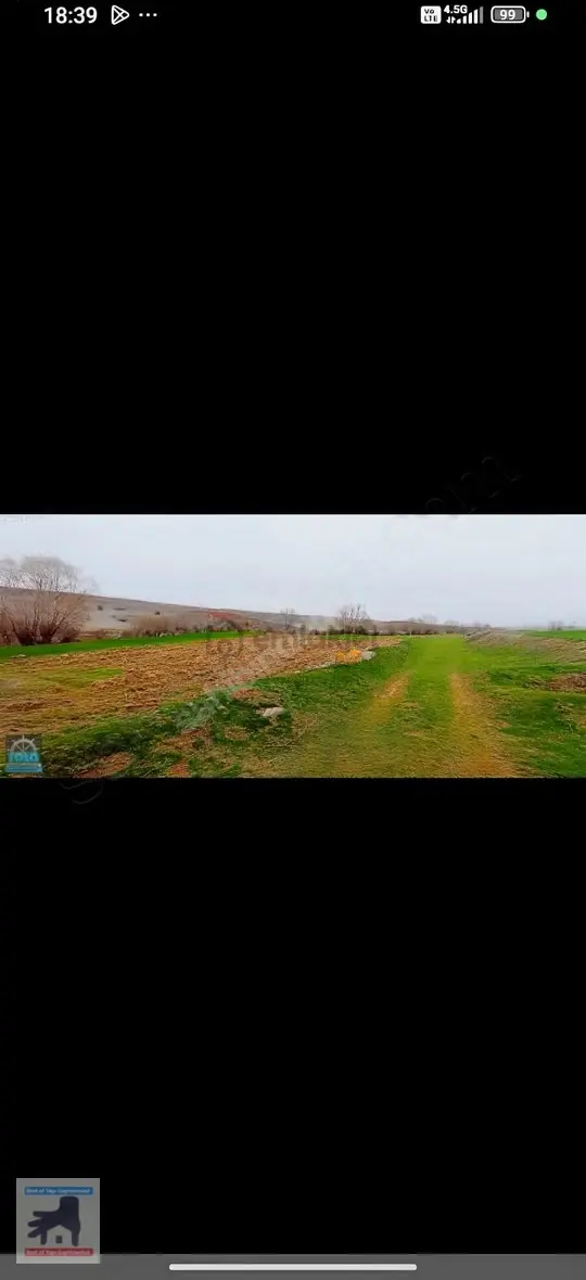 Afyonkarahisar Merkez Kozluca Köyünde Satılık Tarla 1
