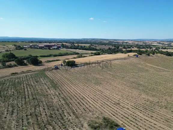 Kırklareli'de 122 Dönüm Satılık 200.000 Kök Lavanta Bahçesi 1