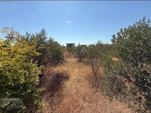 Sahibinden Döşemealtı Çıplaklıda Villa İmarlı Yatırımlık 421m² Fırsat Arsa 2