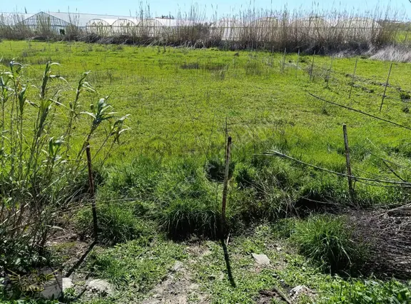 Serik Karıncalı'da 3900m² Satılık Yatırımlık Arazisi 1