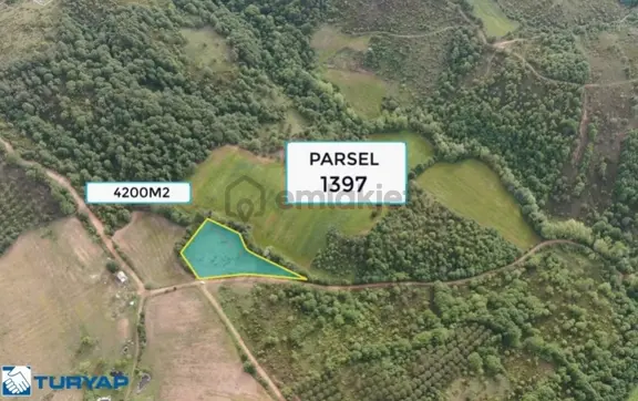 Çanakkale Biga Harmanlı 4.200m2 Yatırımlık Fırsat Tarla 2